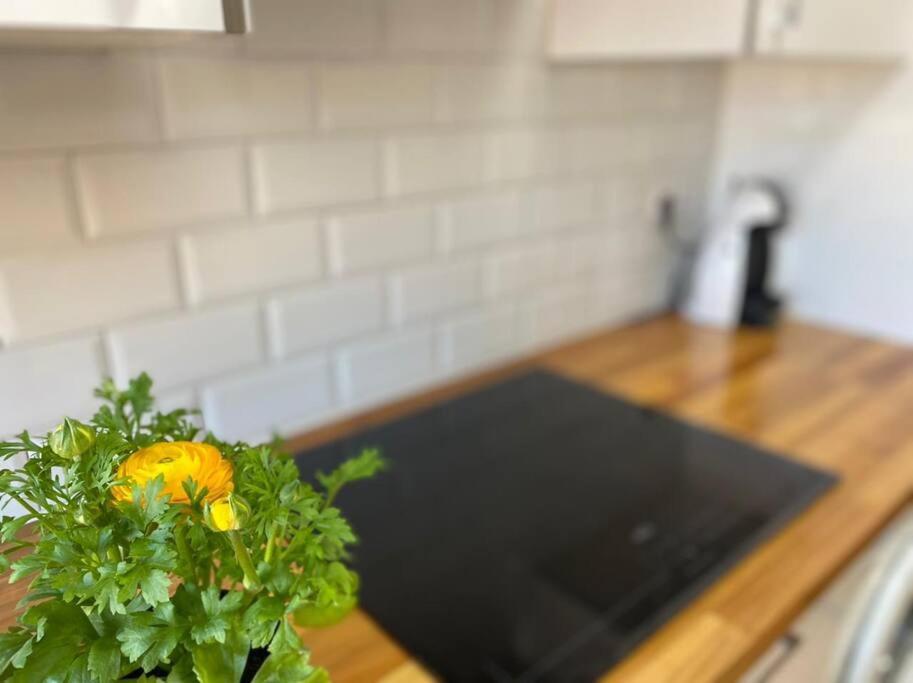Apartamento Centrico-Parking Gratuito-Wifi ซานตานเดร์ ภายนอก รูปภาพ